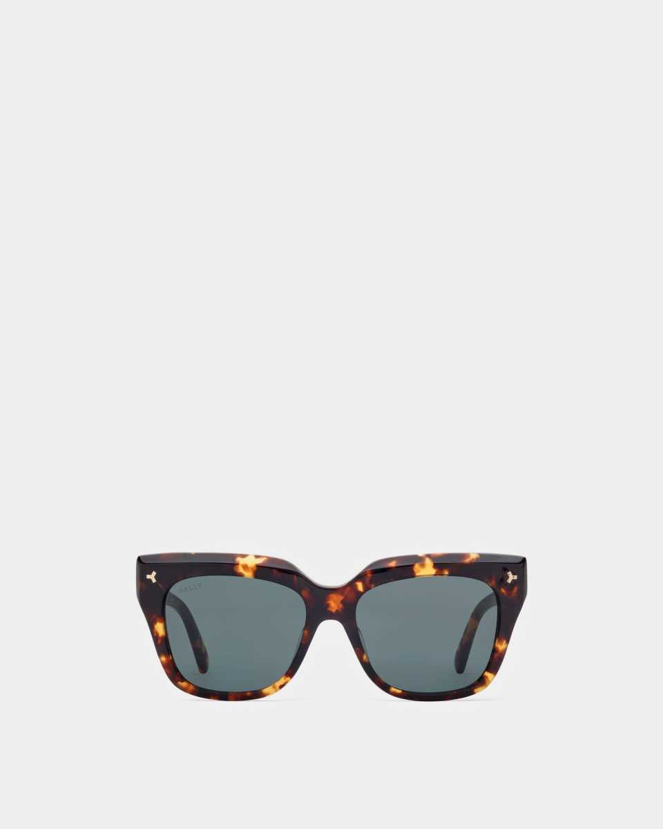 Bally Constance Acetate Sunglasses Brown | BQDGR5432