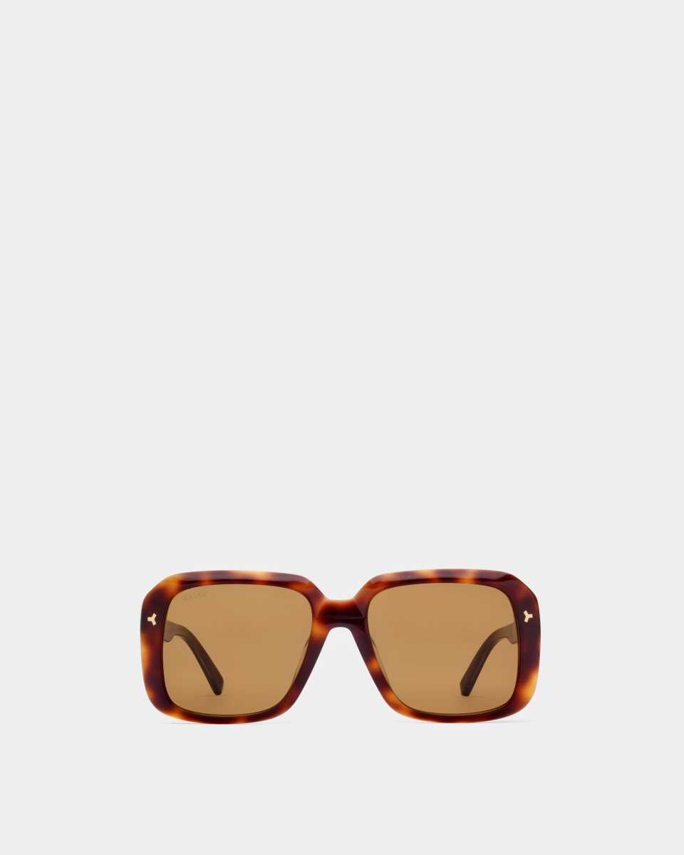 Bally Thun Acetate Sunglasses Brown | BKTHW9287